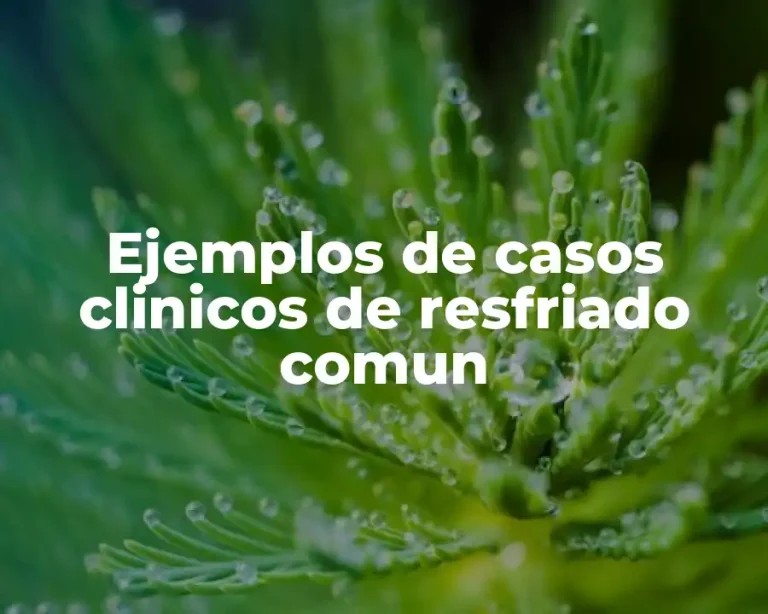 Ejemplos de casos clinicos de resfriado comun