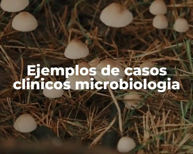 Ejemplos de casos clinicos microbiologia