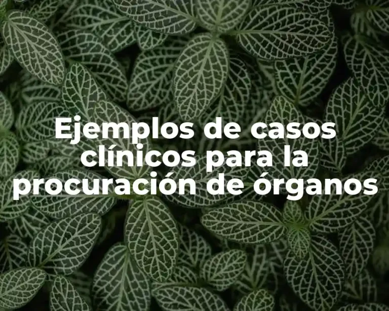 Ejemplos de casos clínicos para la procuración de órganos