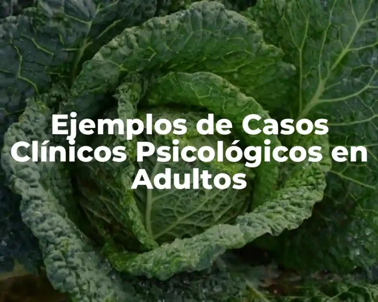 Ejemplos de Casos Clínicos Psicológicos en Adultos