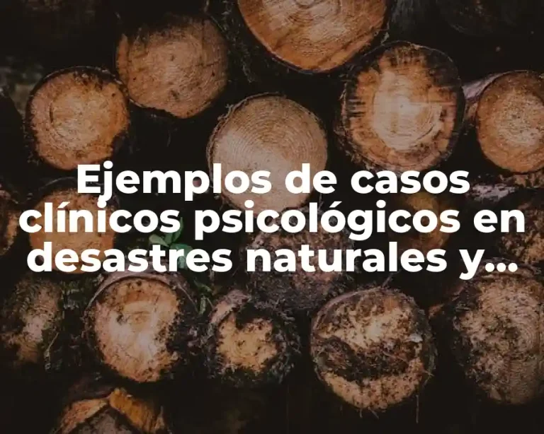 Ejemplos de casos clínicos psicológicos en desastres naturales y Significado