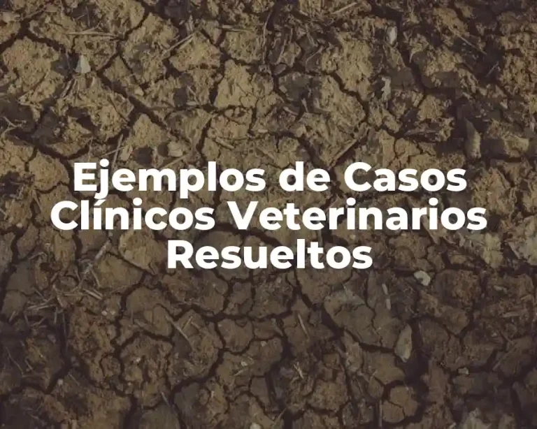 Ejemplos de Casos Clínicos Veterinarios Resueltos