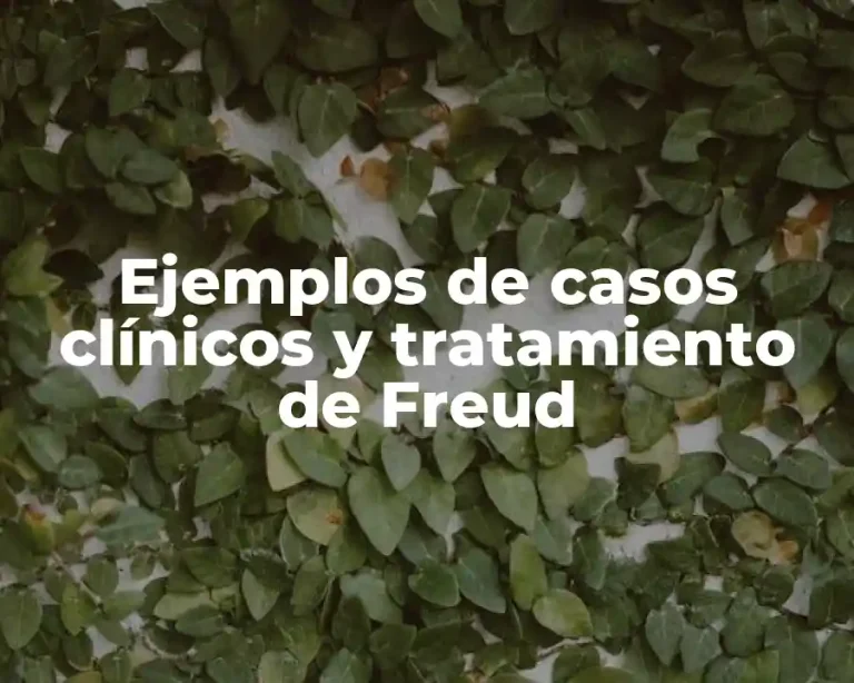 Ejemplos de casos clínicos y tratamiento de Freud