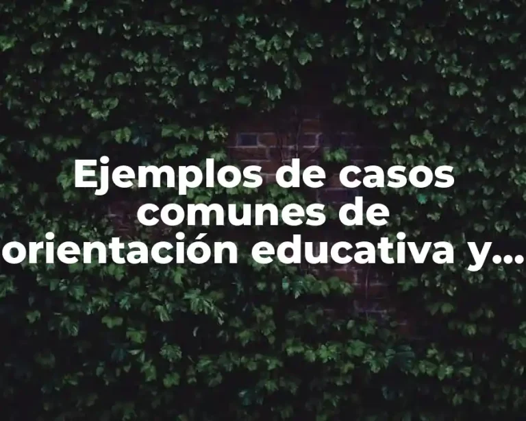 Ejemplos de casos comunes de orientación educativa y Significado