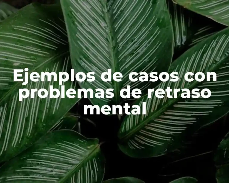 Ejemplos de casos con problemas de retraso mental