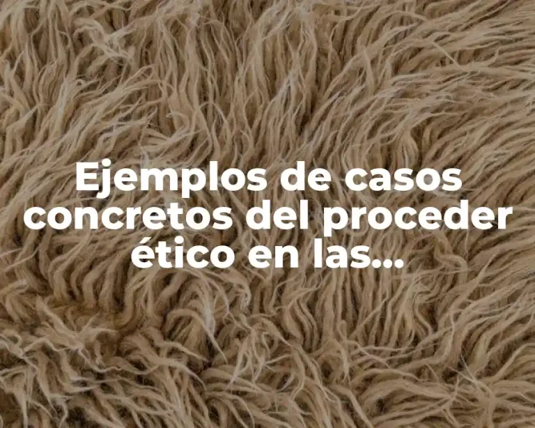 Ejemplos de casos concretos del proceder ético en las organizaciones y Significado