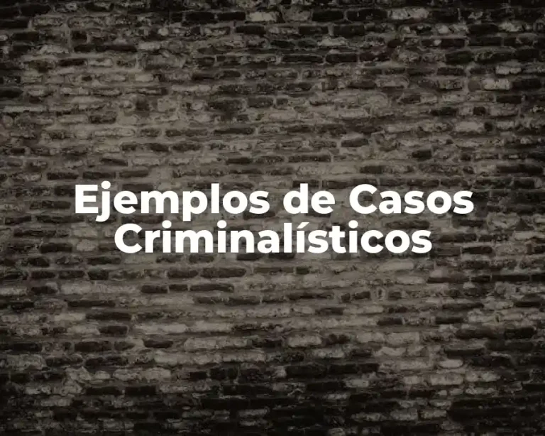 Ejemplos de Casos Criminalísticos