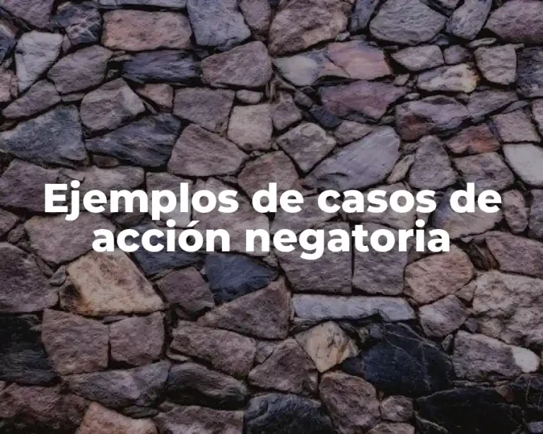 Ejemplos de casos de acción negatoria