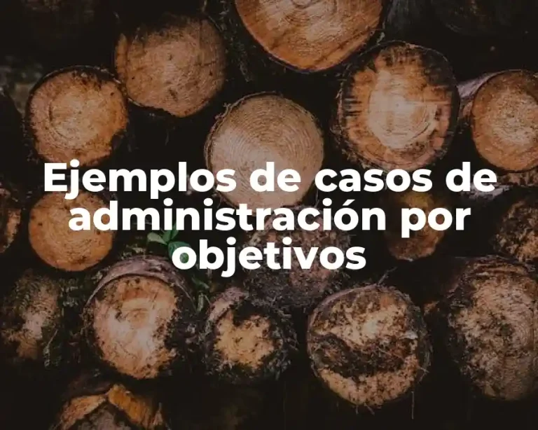 Ejemplos de casos de administración por objetivos