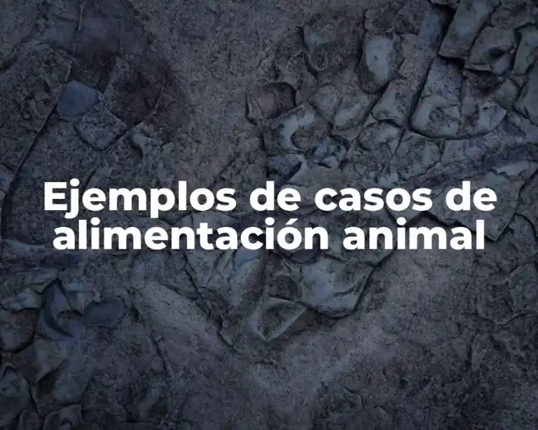 Ejemplos de casos de alimentación animal