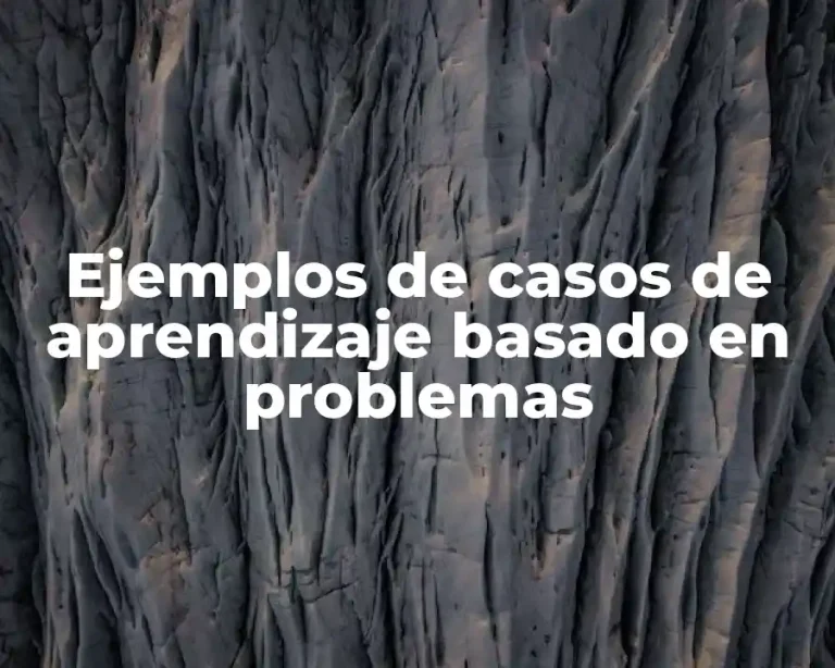 Ejemplos de casos de aprendizaje basado en problemas