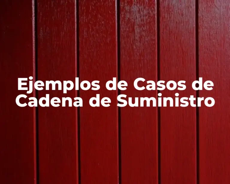 Ejemplos de Casos de Cadena de Suministro