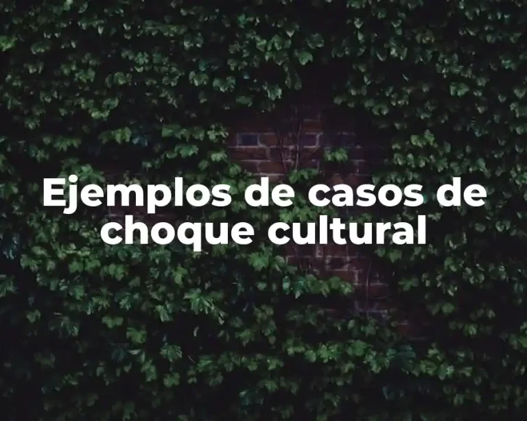 Ejemplos de casos de choque cultural