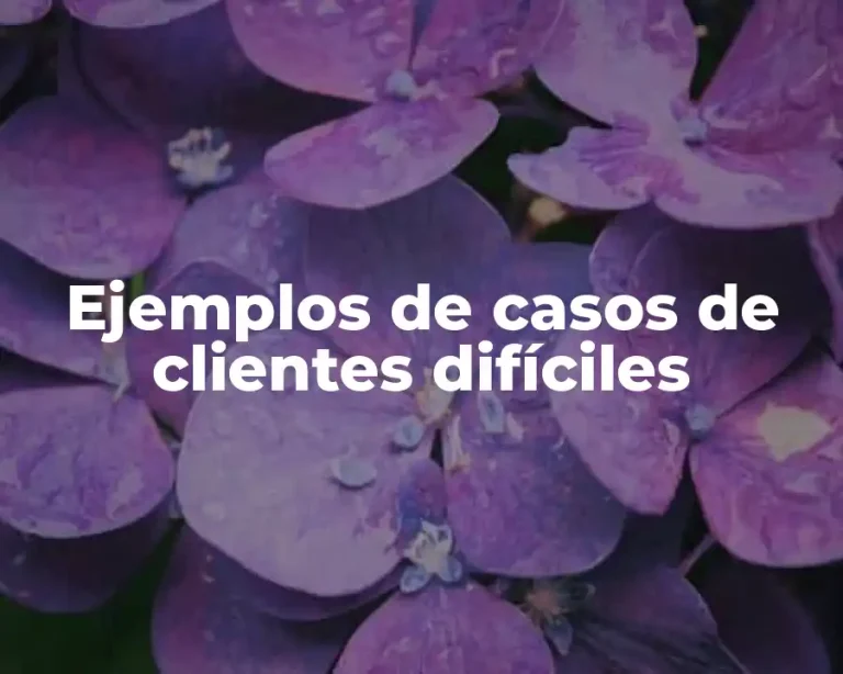 Ejemplos de casos de clientes difíciles