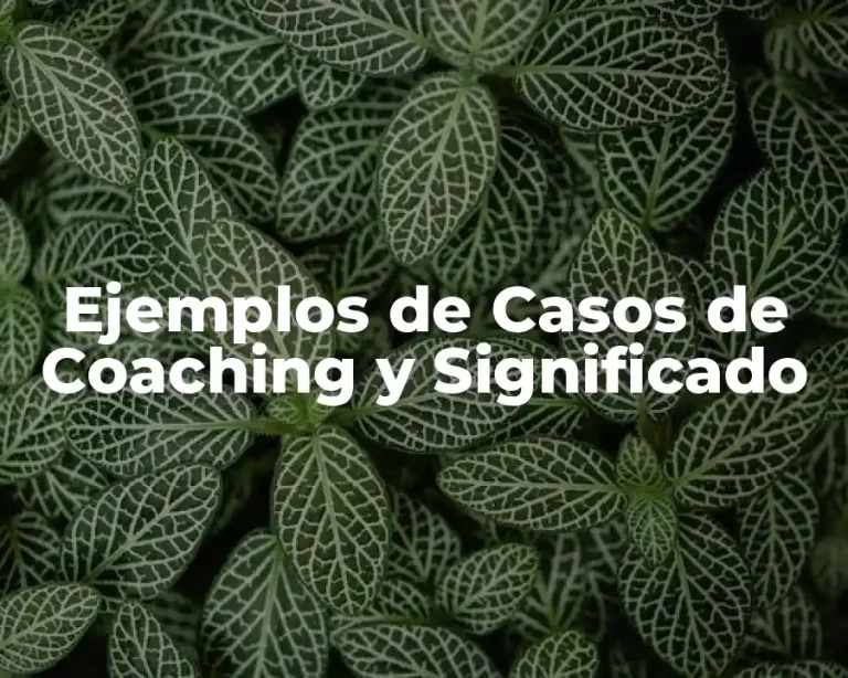 Ejemplos de Casos de Coaching y Significado