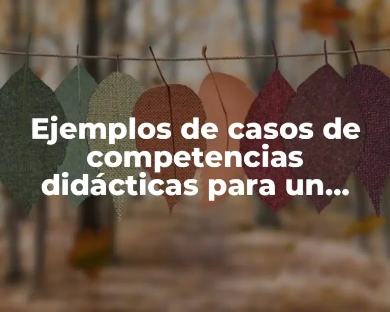 Ejemplos de casos de competencias didácticas para un técnico docente