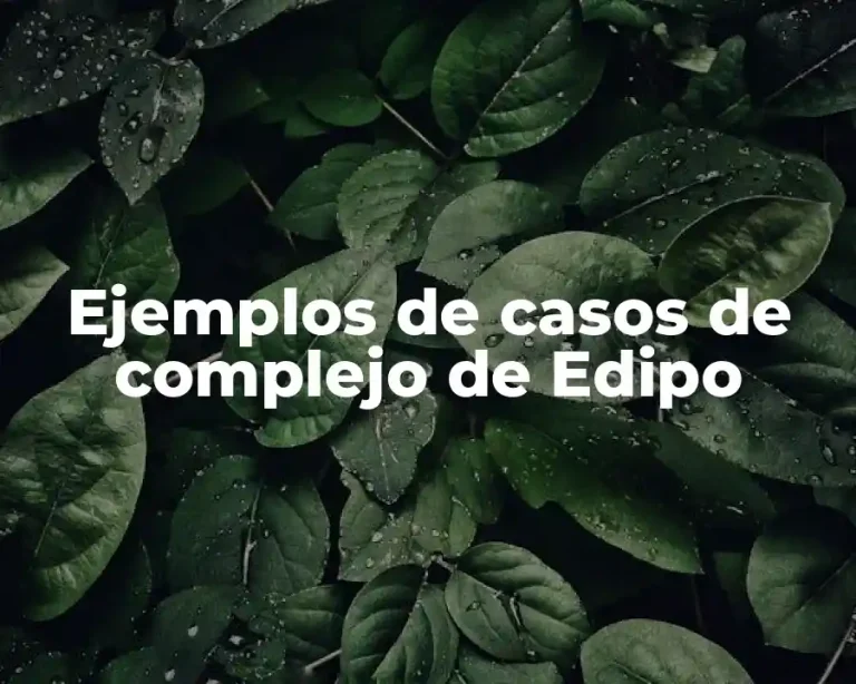 Ejemplos de casos de complejo de Edipo