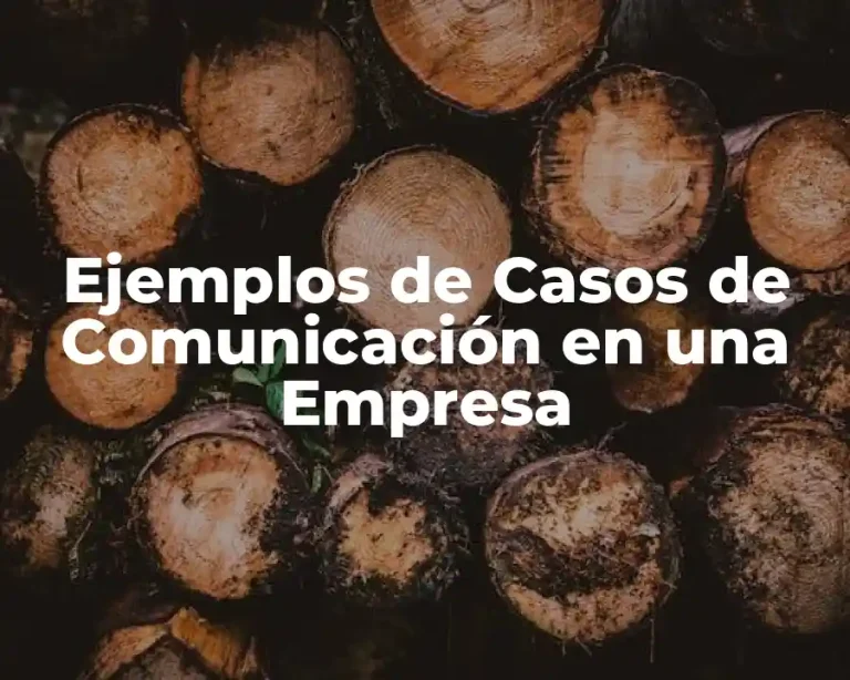 Ejemplos de Casos de Comunicación en una Empresa