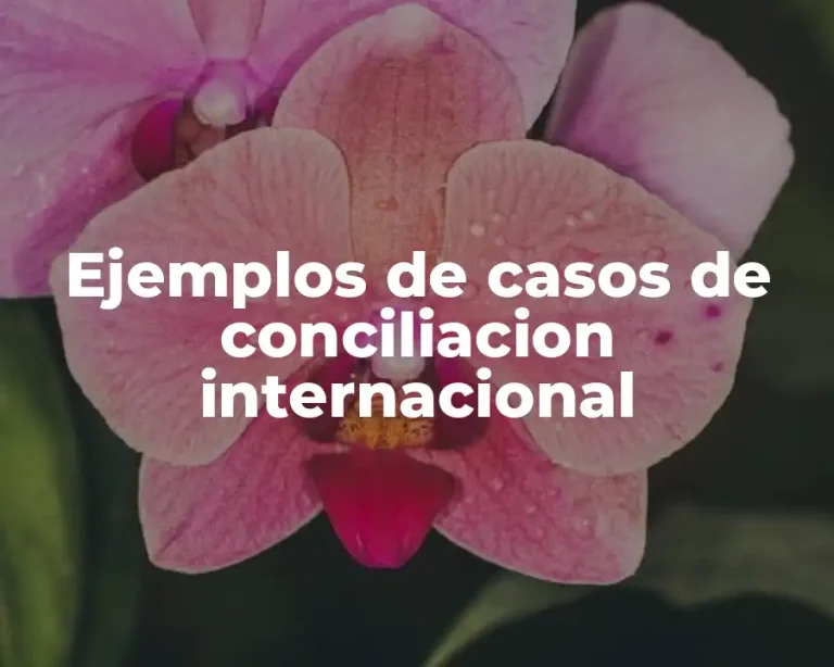 Ejemplos de casos de conciliacion internacional