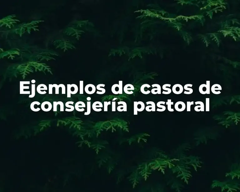 Ejemplos de casos de consejería pastoral
