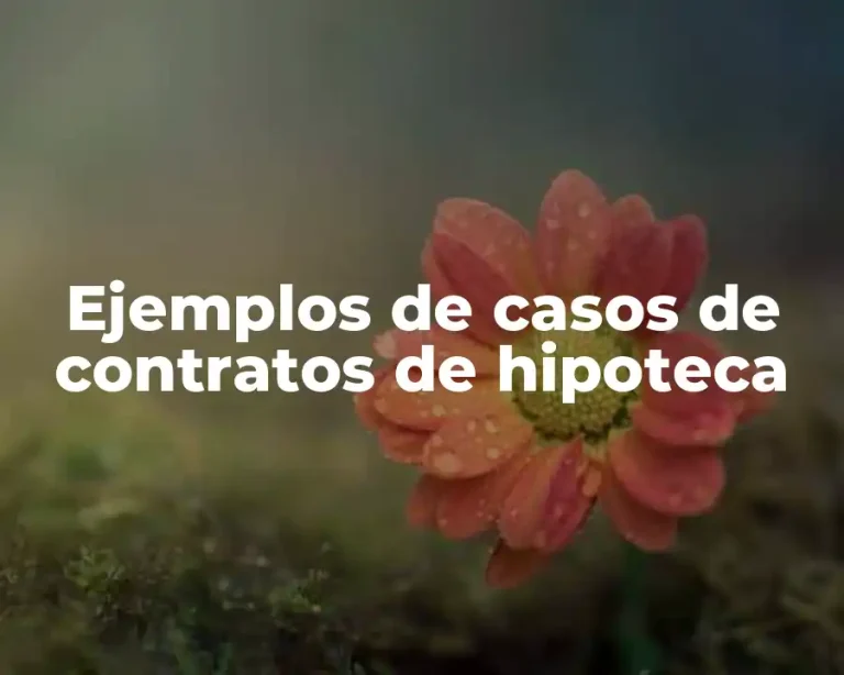 Ejemplos de casos de contratos de hipoteca