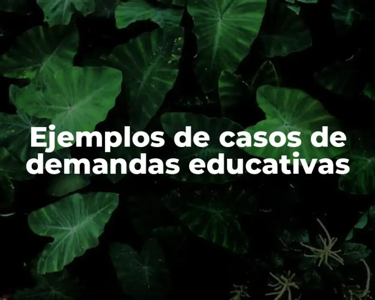 Ejemplos de casos de demandas educativas