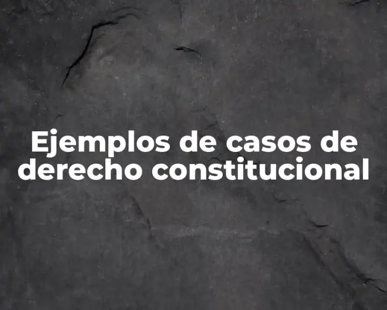 Ejemplos de casos de derecho constitucional
