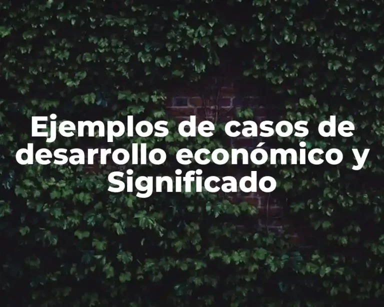 Ejemplos de casos de desarrollo económico y Significado