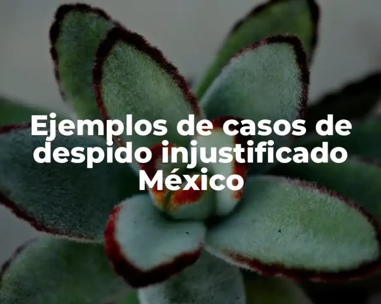 Ejemplos de casos de despido injustificado México