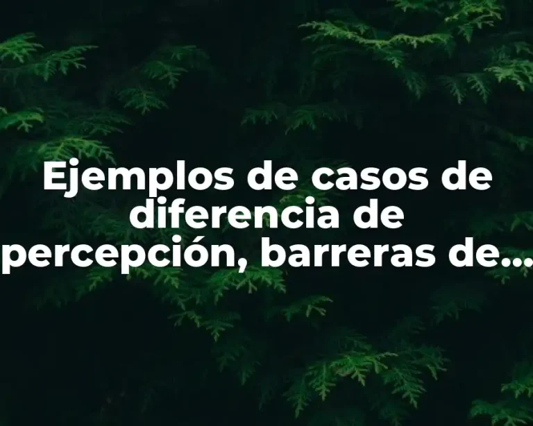 Ejemplos de casos de diferencia de percepción, barreras de comunicación