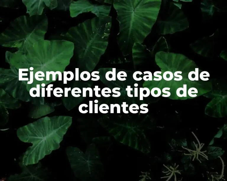 Ejemplos de casos de diferentes tipos de clientes