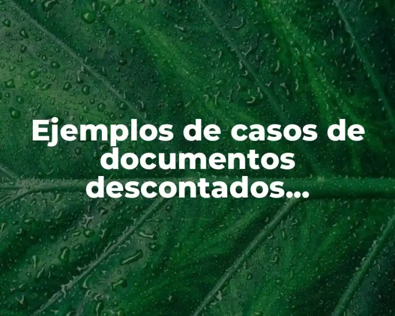 Ejemplos de casos de documentos descontados contabilidad