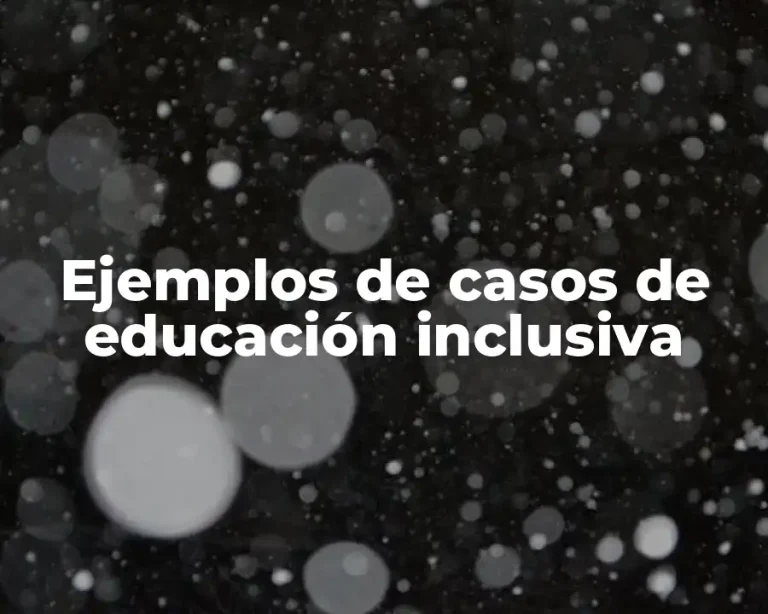 Ejemplos de casos de educación inclusiva