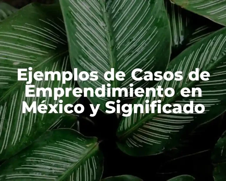 Ejemplos de Casos de Emprendimiento en México y Significado