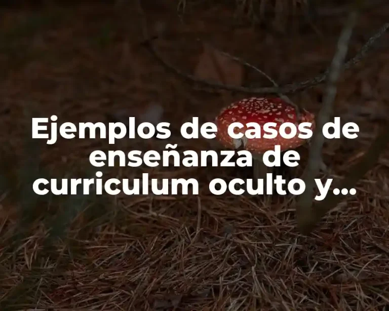 Ejemplos de casos de enseñanza de curriculum oculto y Significado