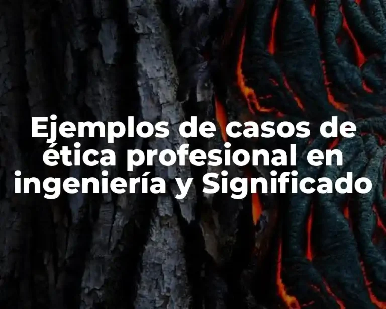 Ejemplos de casos de ética profesional en ingeniería y Significado