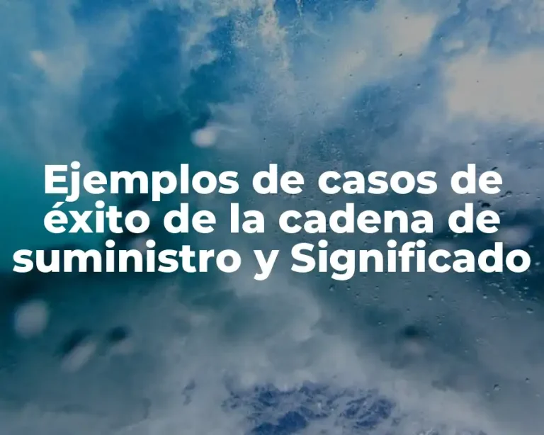 Ejemplos de casos de éxito de la cadena de suministro y Significado