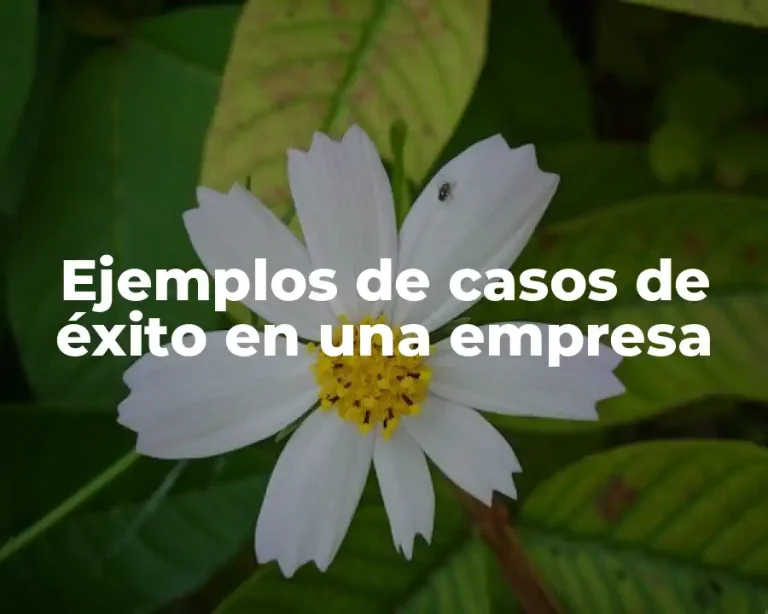 Ejemplos de casos de éxito en una empresa