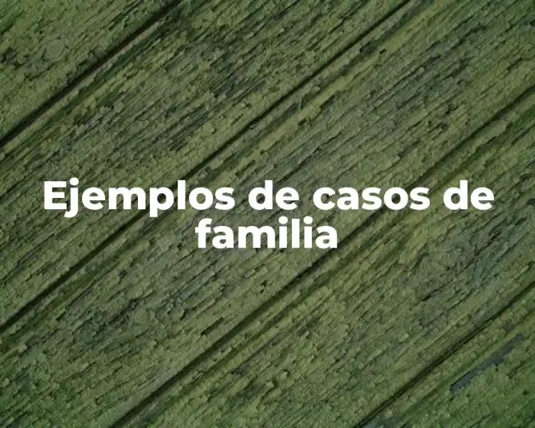 Ejemplos de casos de familia
