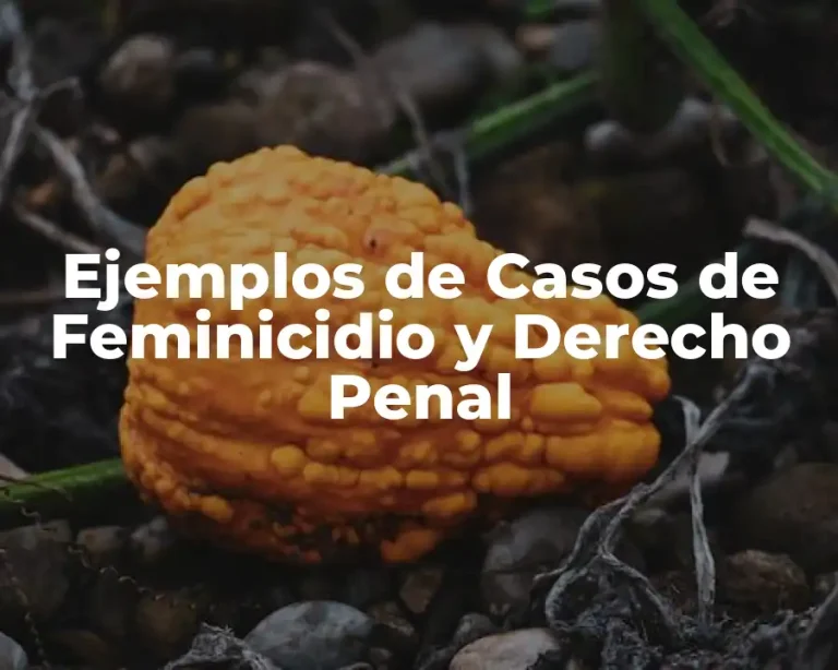 Ejemplos de Casos de Feminicidio y Derecho Penal