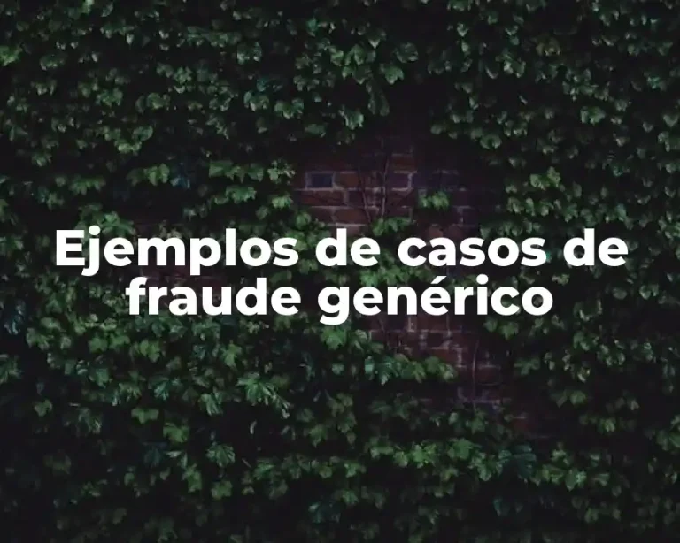 Ejemplos de casos de fraude genérico