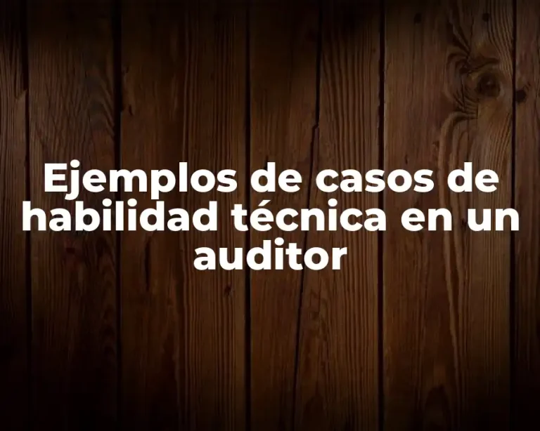 Ejemplos de casos de habilidad técnica en un auditor