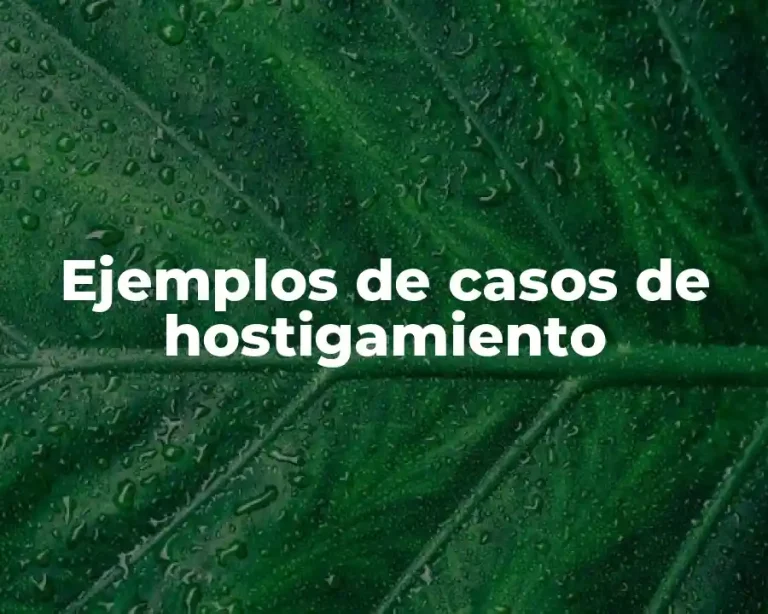 Ejemplos de casos de hostigamiento