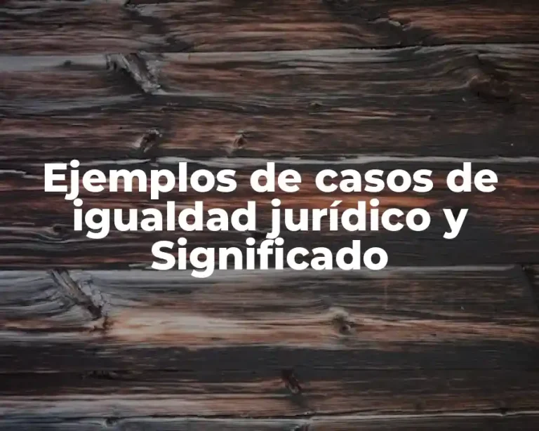 Ejemplos de casos de igualdad jurídico y Significado
