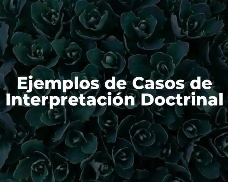 Ejemplos de Casos de Interpretación Doctrinal