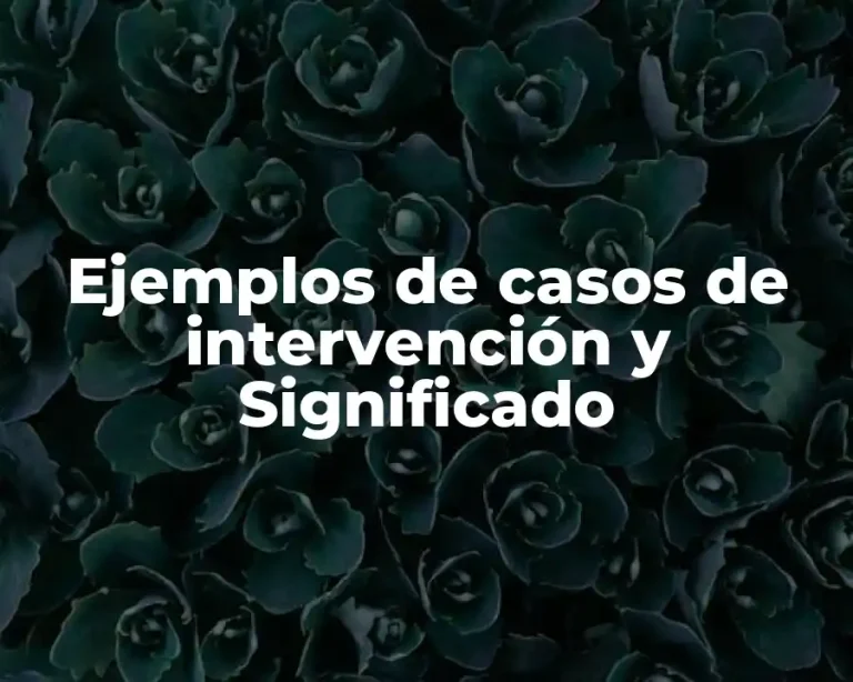 Ejemplos de casos de intervención y Significado
