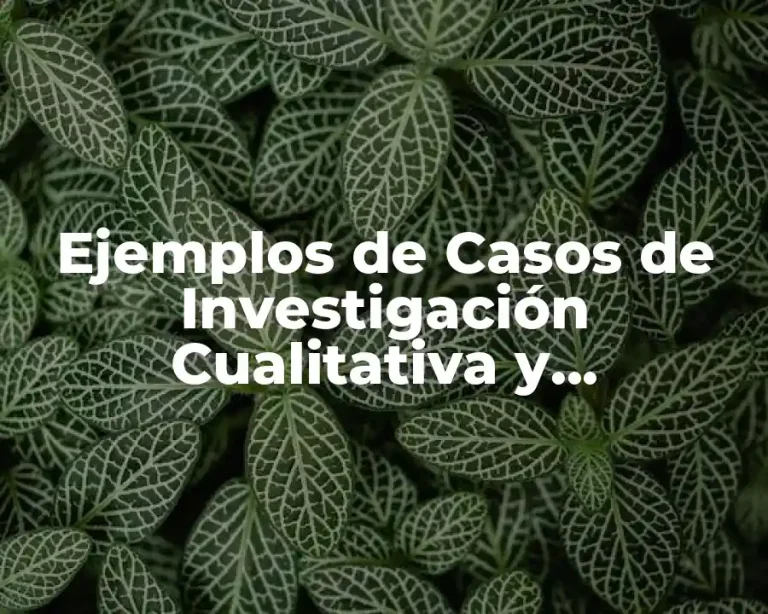 Ejemplos de Casos de Investigación Cualitativa y Significado