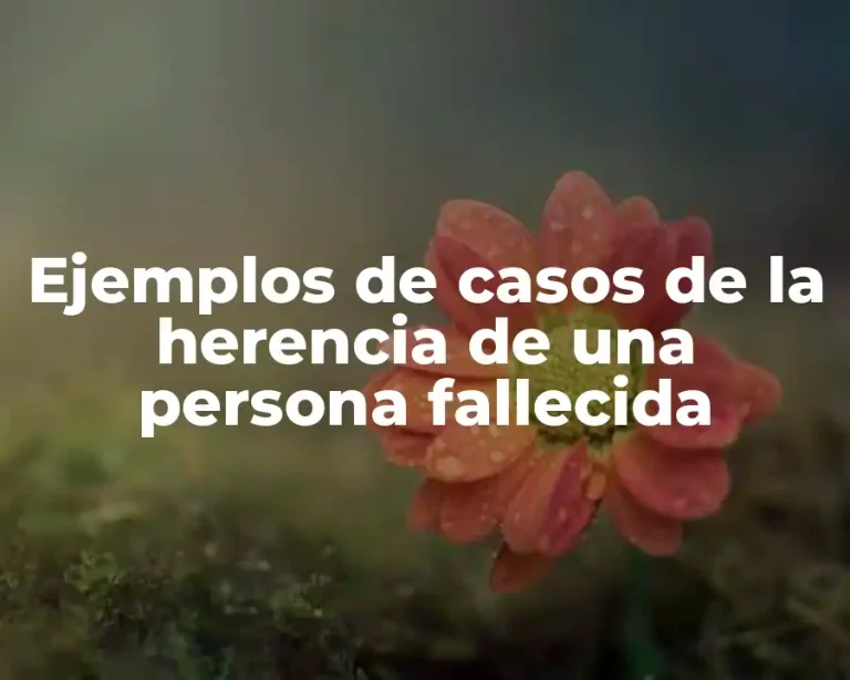 Ejemplos de casos de la herencia de una persona fallecida