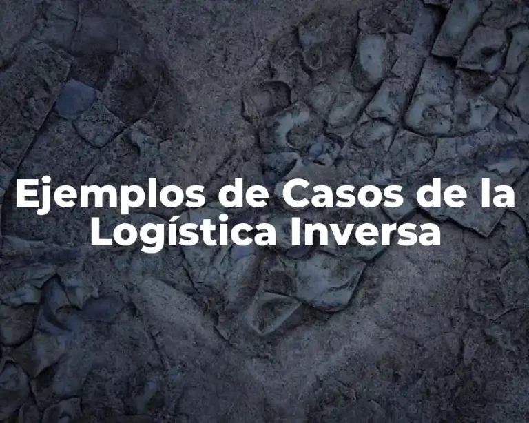 Ejemplos de Casos de la Logística Inversa