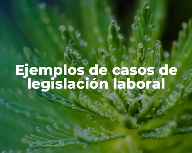 Ejemplos de casos de legislación laboral